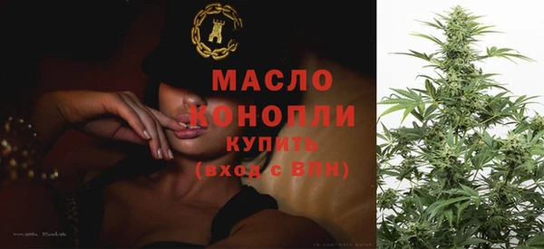 прущие грибы Елабуга