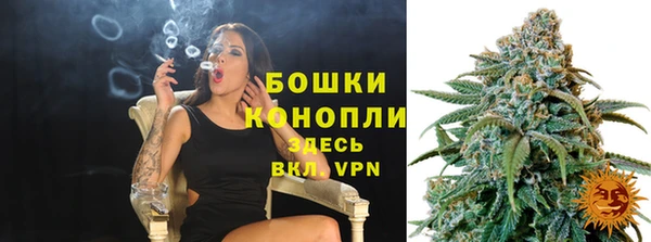 гашиш Богданович