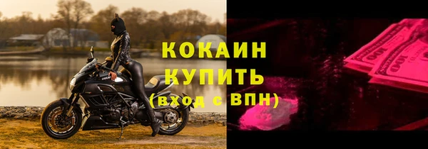 дживик Богородск