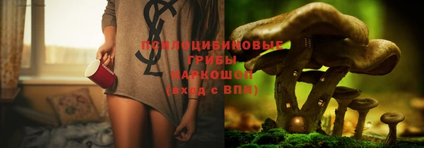 гашиш Богданович