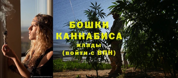 дживик Богородск