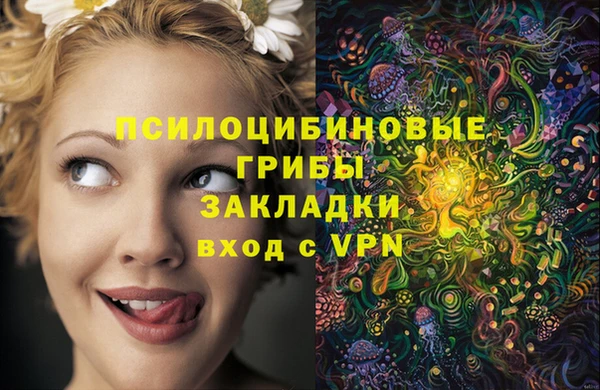 винт Богородицк