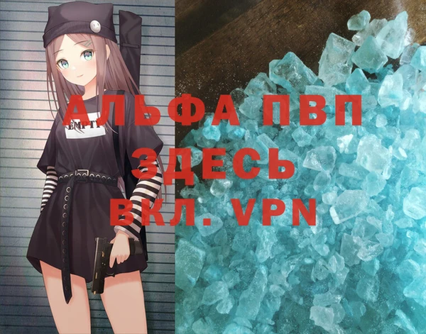 дживик Богородск