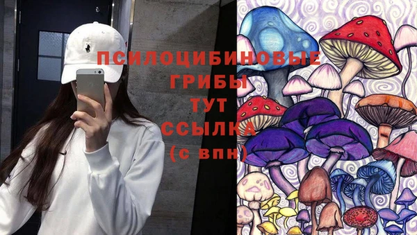 кокс Елизово