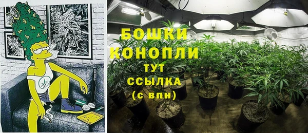 дживик Богородск